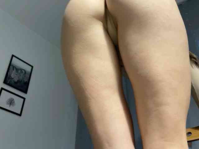 IRAONIC webcam