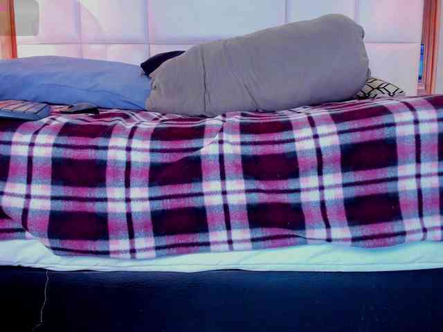 Tiffany-Mills webcam