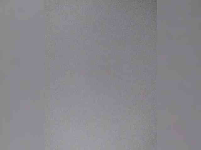 Lepestochek webcam