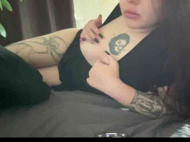 sweetscats webcam