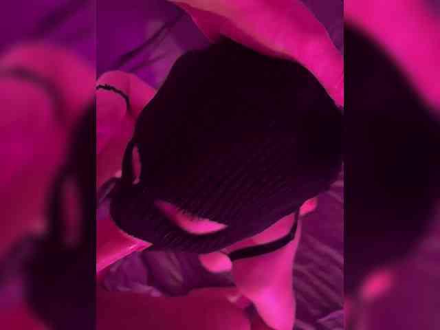 hidden webcam SoulTwins1