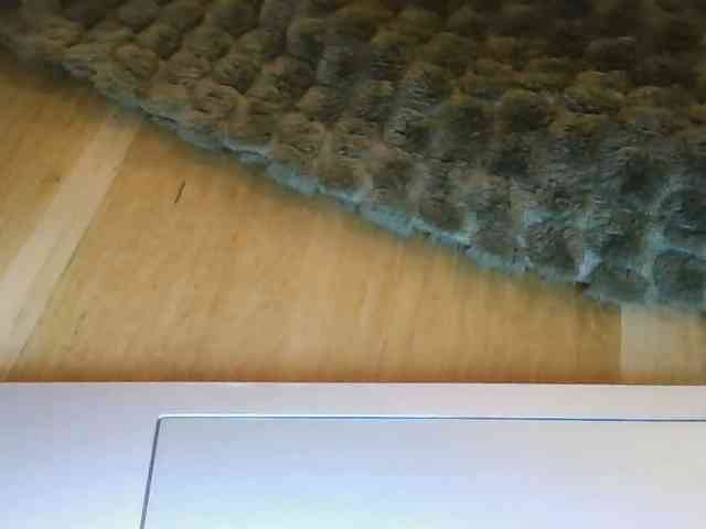 lady111 webcam