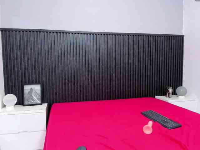 Taylor-Page webcam
