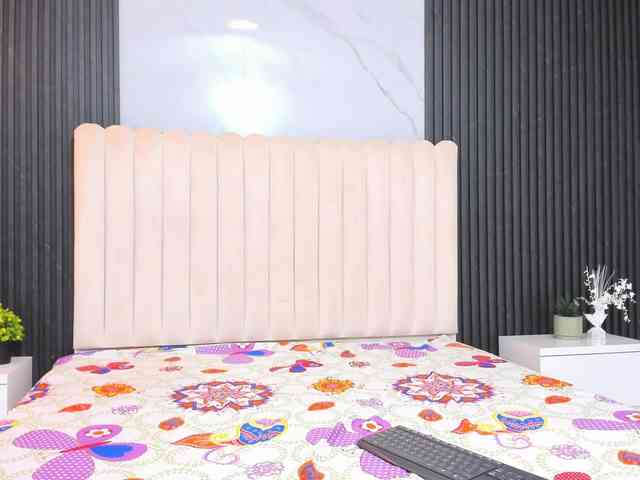 Taylor-Page webcam