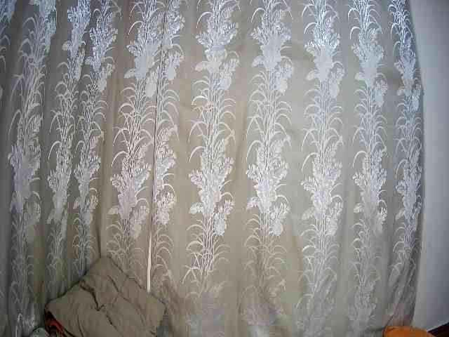 chubby-pritty webcam