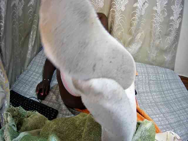 chubby-pritty webcam