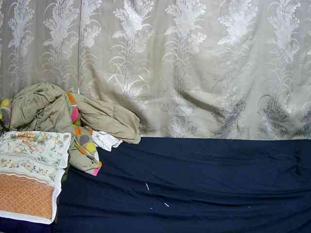 chubby-pritty webcam