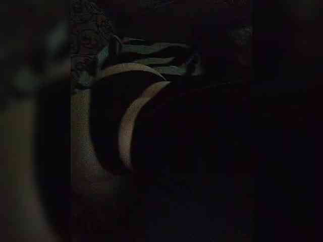 Eraketmy webcam