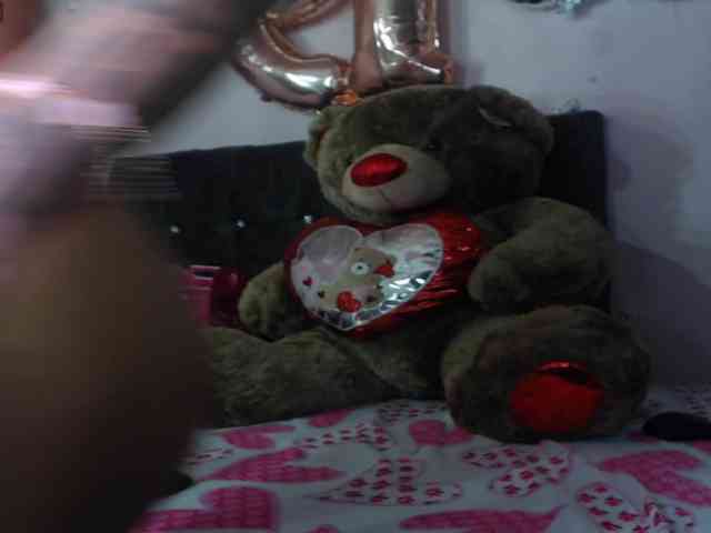 dulceandlion webcam