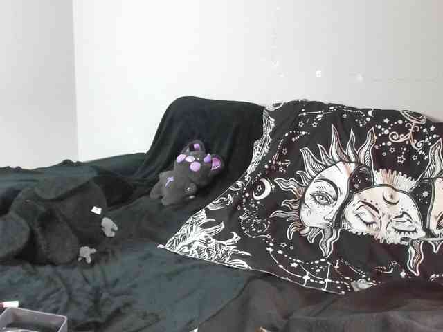 night-lily webcam