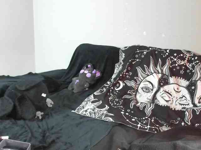 night-lily webcam