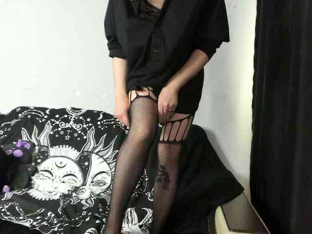 night-lily webcam