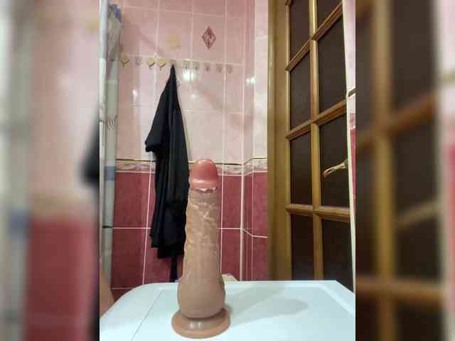Dashka-004 webcam