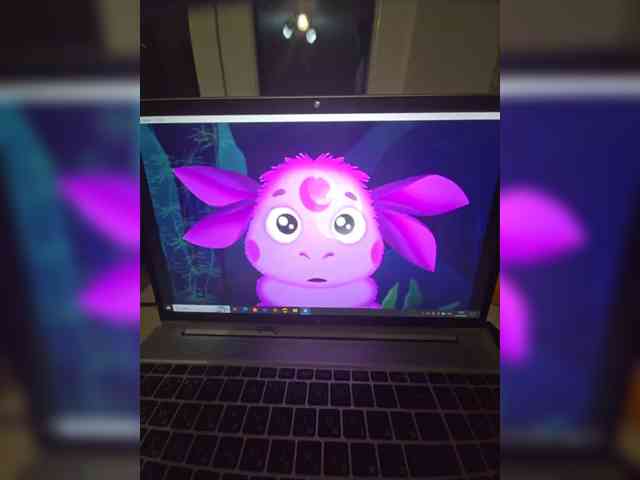 -Yuno-Gasay- webcam