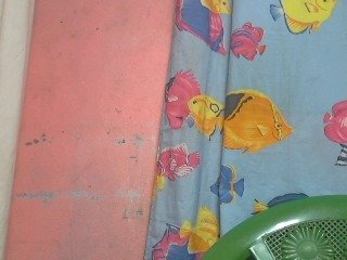 nomenen Porn Show