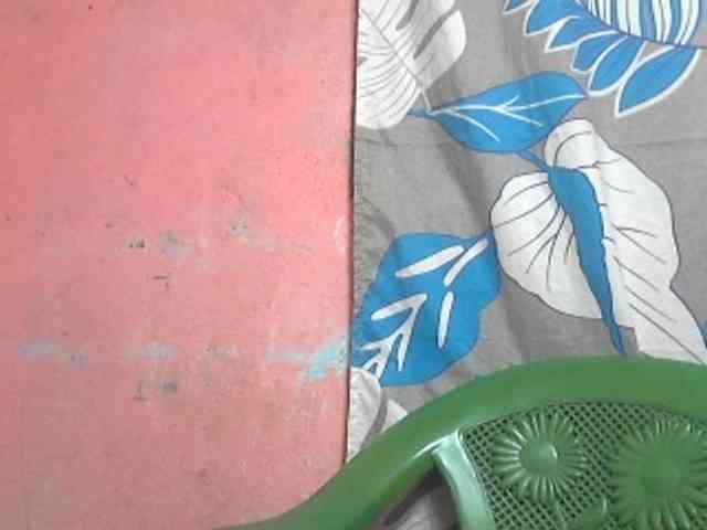 nomenen webcam