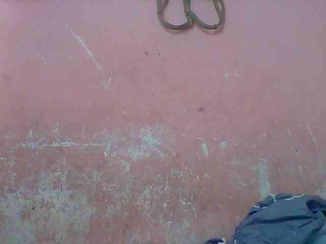 nomenen webcam