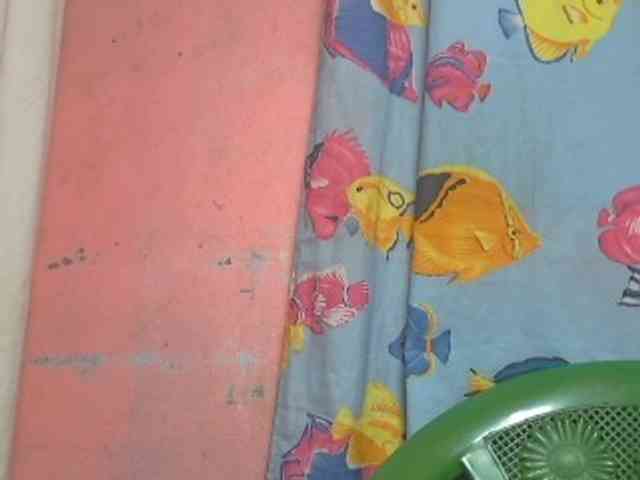 nomenen webcam