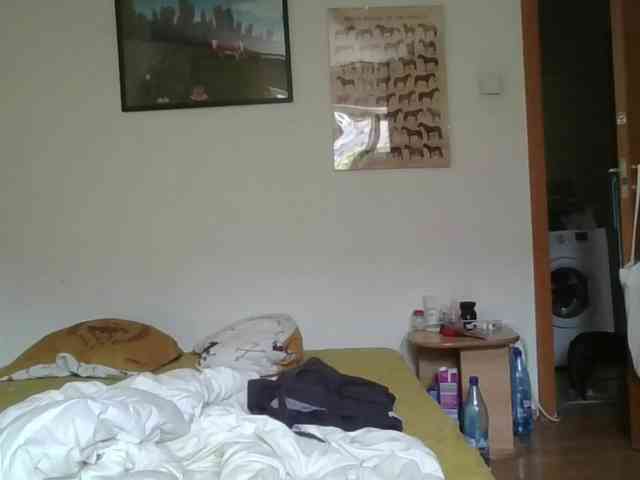 AlmaBliss webcam