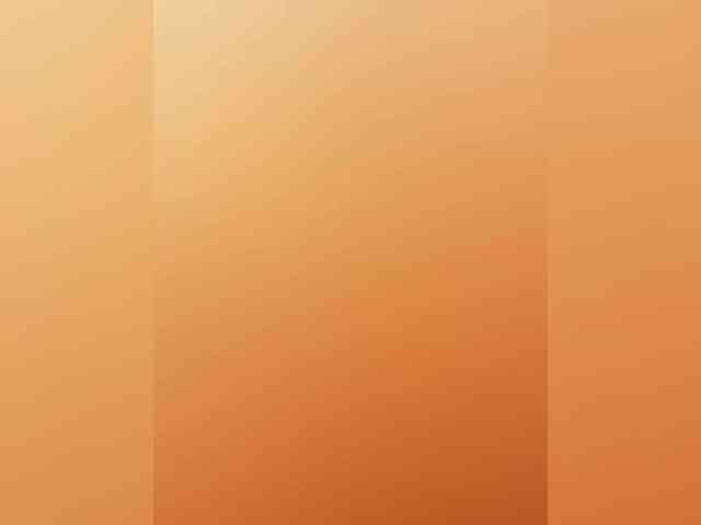 Amelib webcam