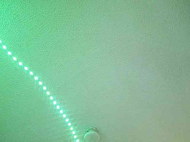 1sarah webcam