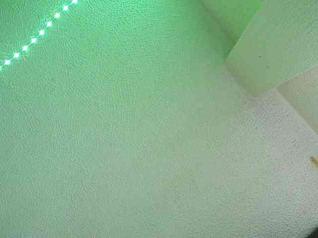 1sarah webcam