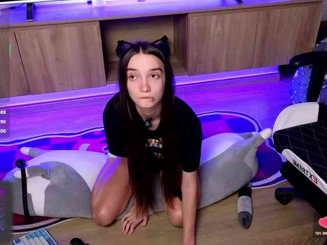 laxyflaxy webcam