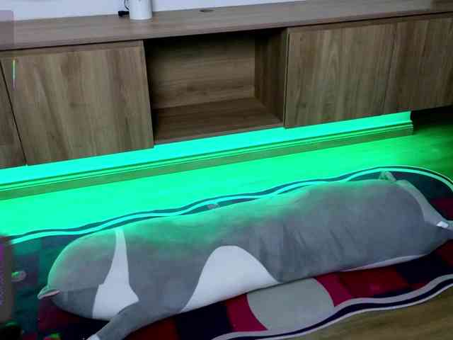laxyflaxy webcam