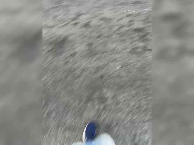 SKing97