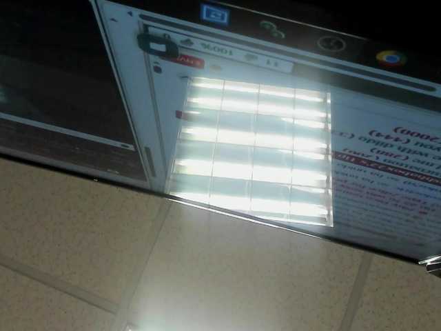 blushhabex live cam profile