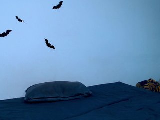 littleowlx Porn Show