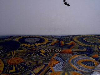 littleowlx Porn Show