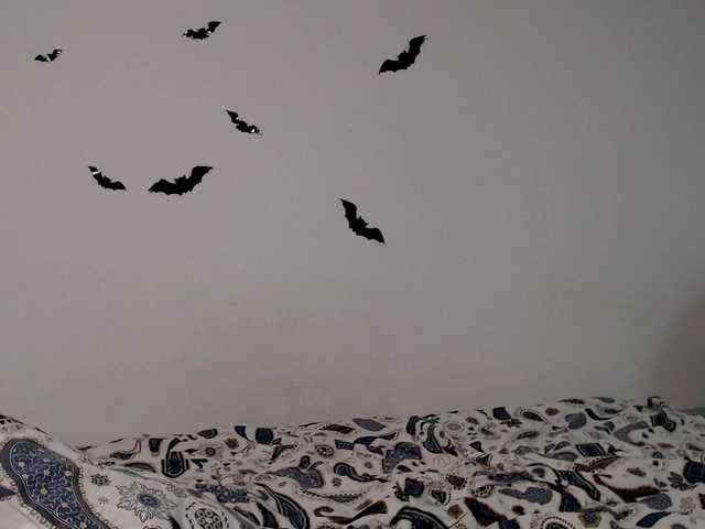 littleowlx from BongaCams is Freechat