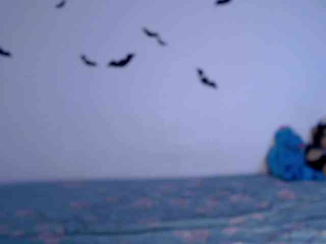littleowlx webcam