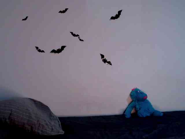littleowlx webcam