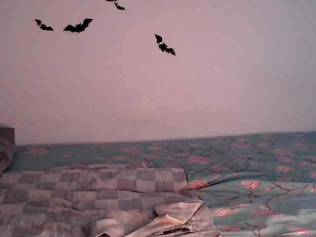 littleowlx webcam