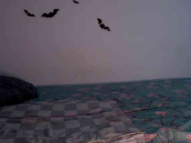 littleowlx webcam