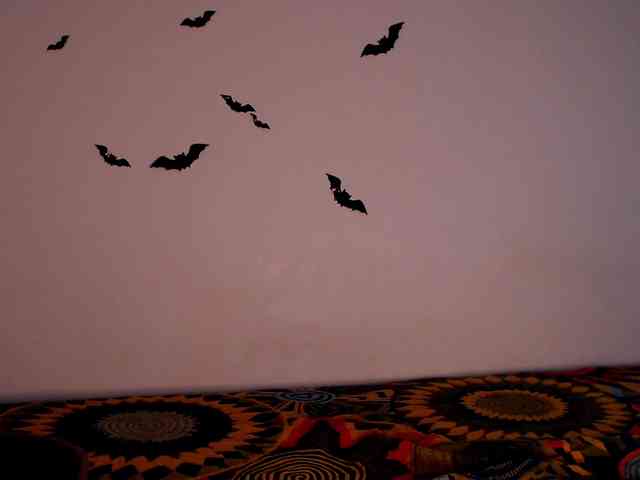 littleowlx webcam