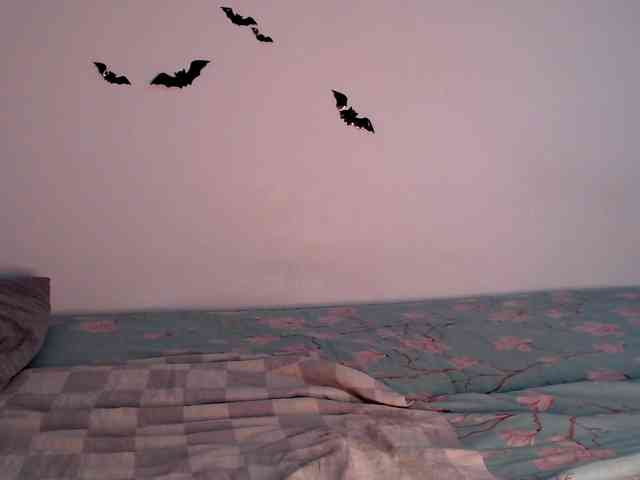 littleowlx webcam