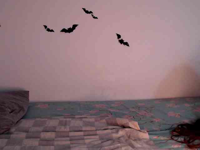 littleowlx webcam