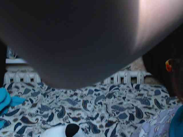 littleowlx webcam