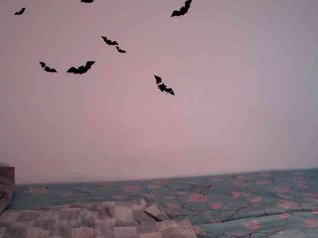 littleowlx webcam