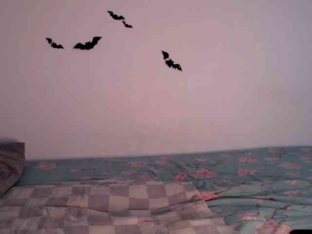 littleowlx webcam