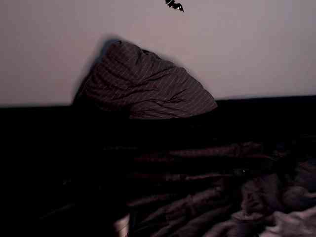 littleowlx webcam
