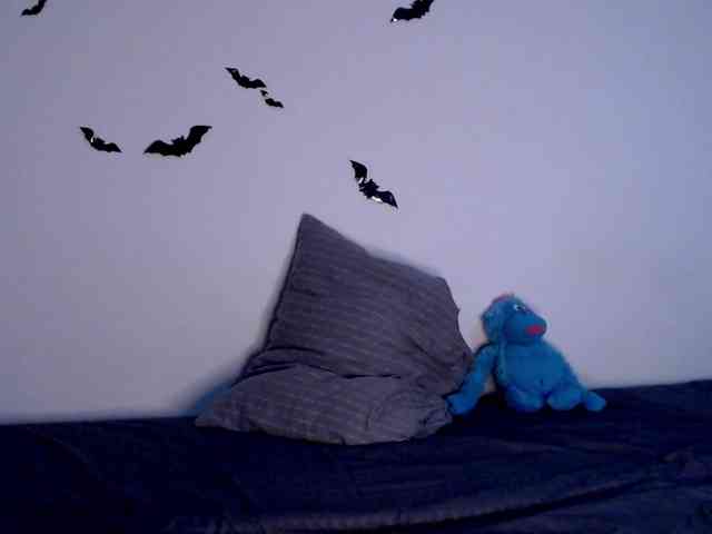 littleowlx webcam