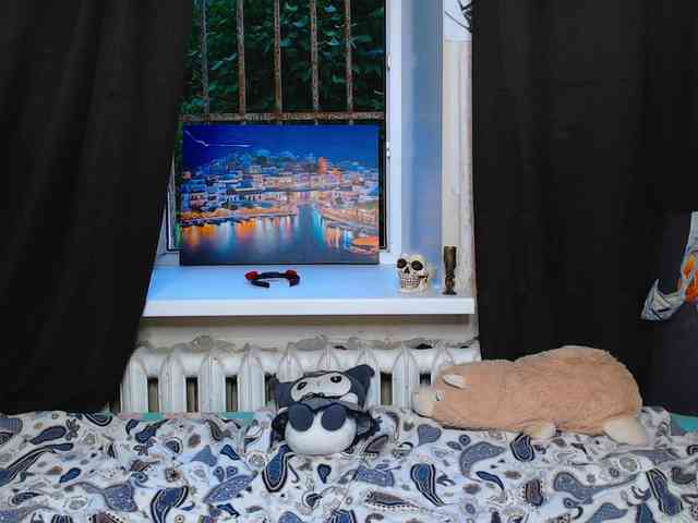 littleowlx webcam