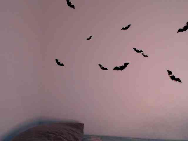 littleowlx webcam