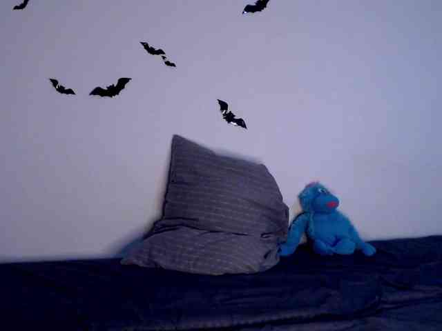littleowlx webcam