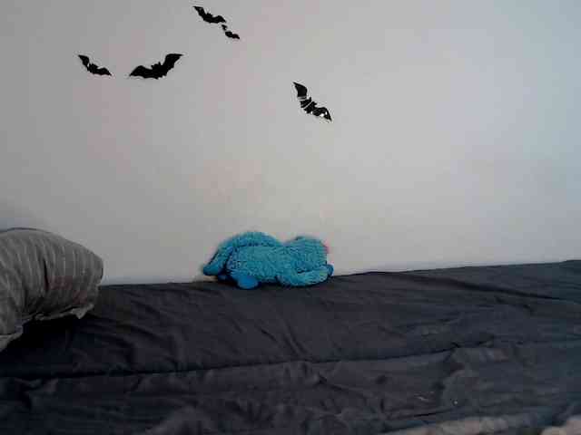 littleowlx webcam