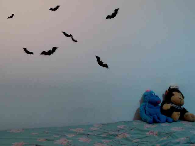 littleowlx webcam